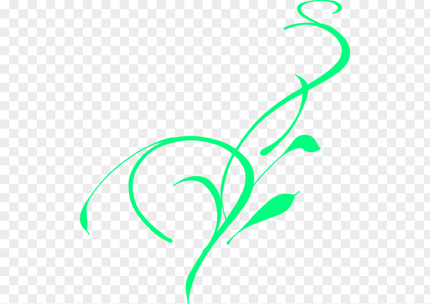 Green Vine Drawing Clip Art PNG