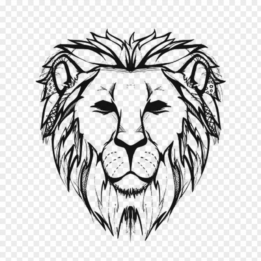 Lions Head Lion Drawing Line Art Sketch PNG