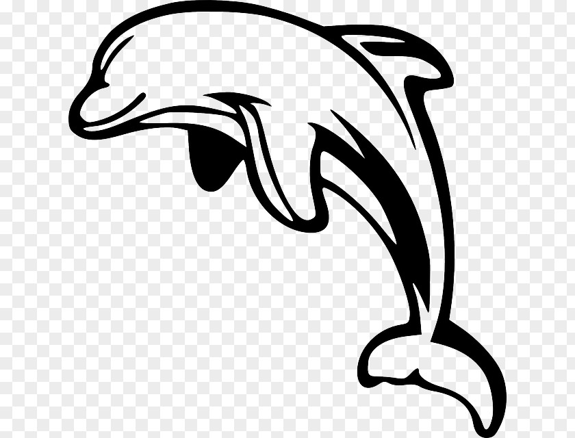 Om Vector Bottlenose Dolphin Clip Art PNG