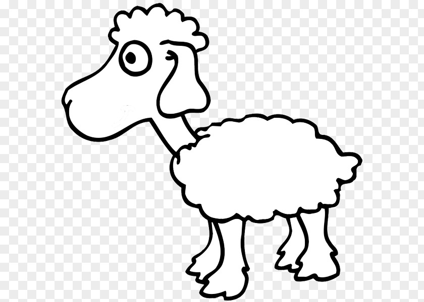 Sheep Coloring Book Drawing Child Wool PNG