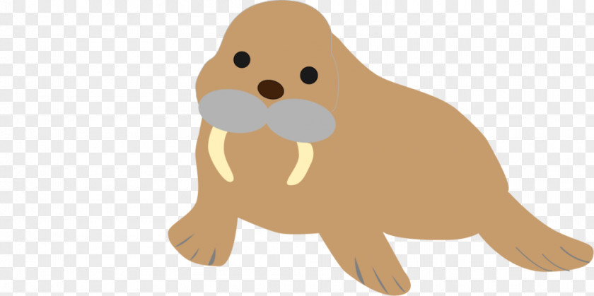 Walrus Cat Dog Puppy Mammal Whiskers PNG