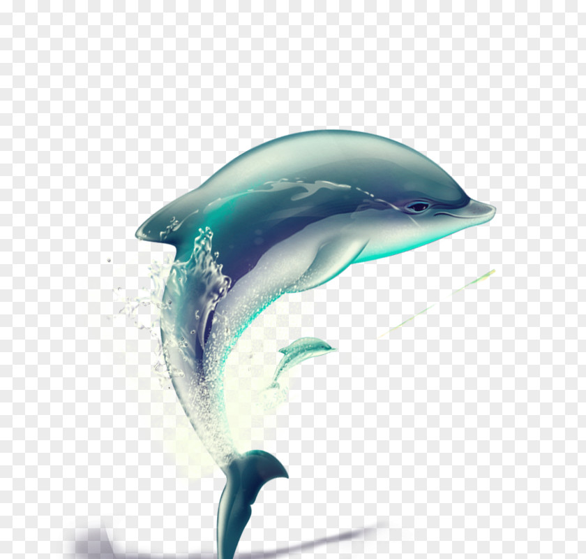 Vector Hand-painted Dolphin PNG