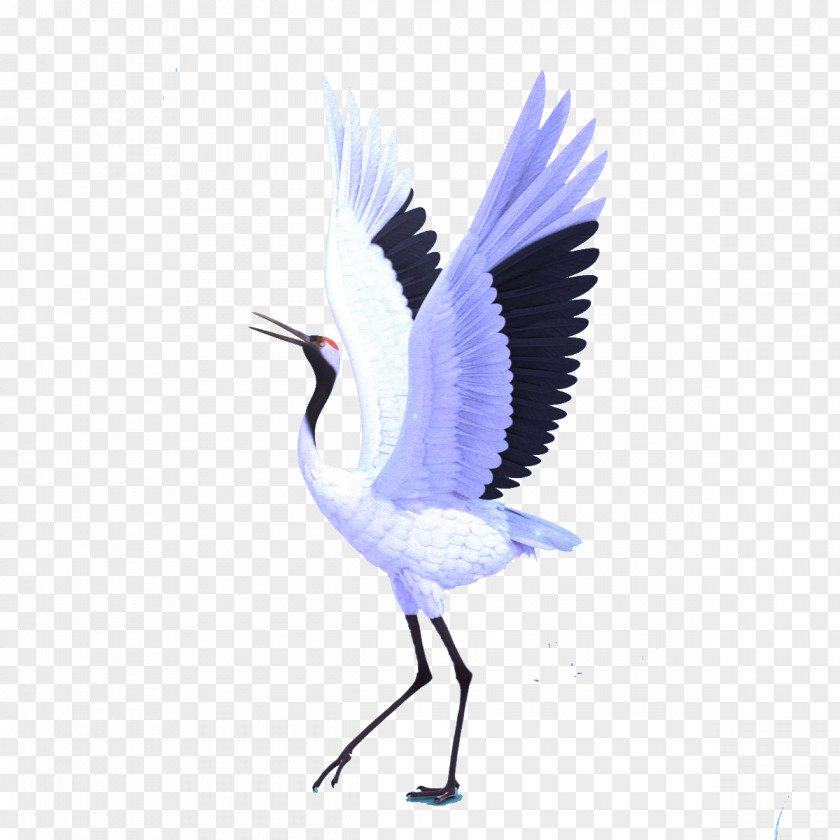 Wings Crane Bird Wing Flight PNG
