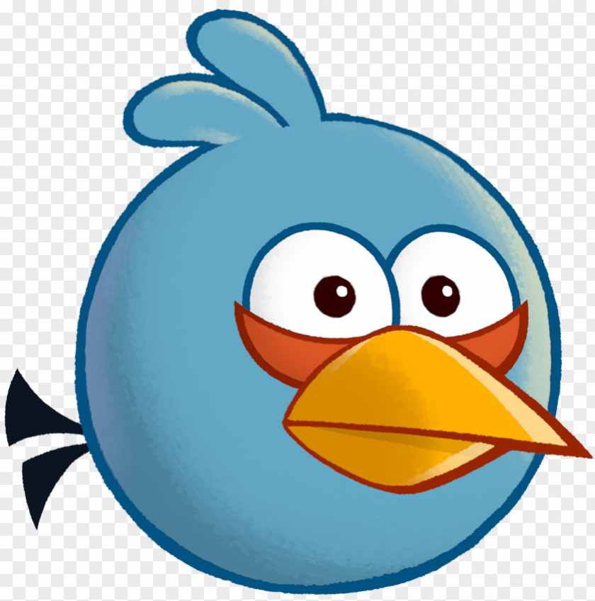 Cut The Rope Wiki Angry Birds Stella Domestic Pig Blue Jay Clip Art PNG
