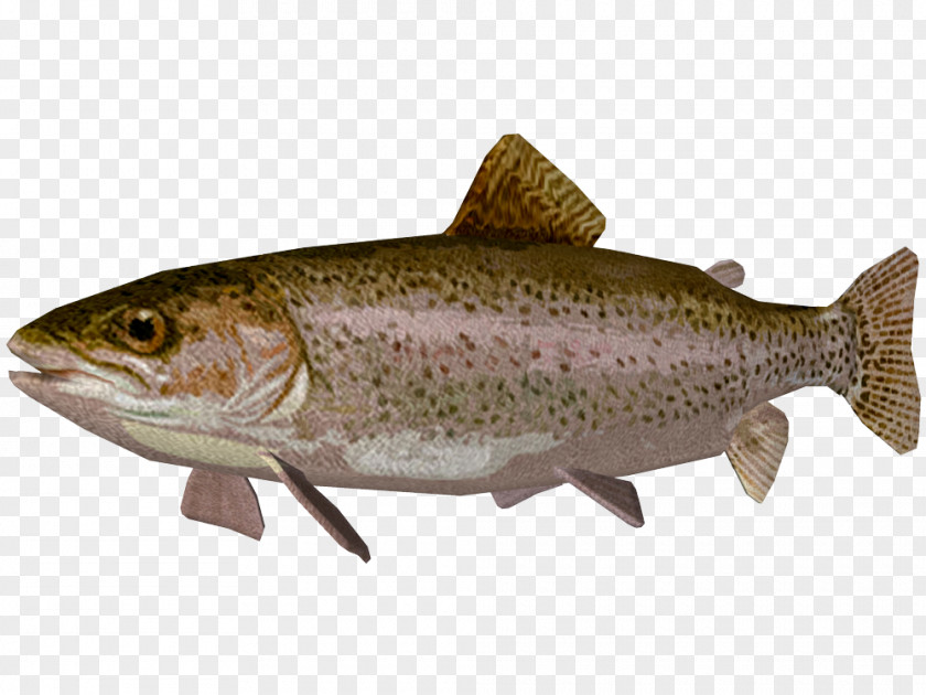 Fish Coastal Cutthroat Trout Coho Salmon Rainbow PNG