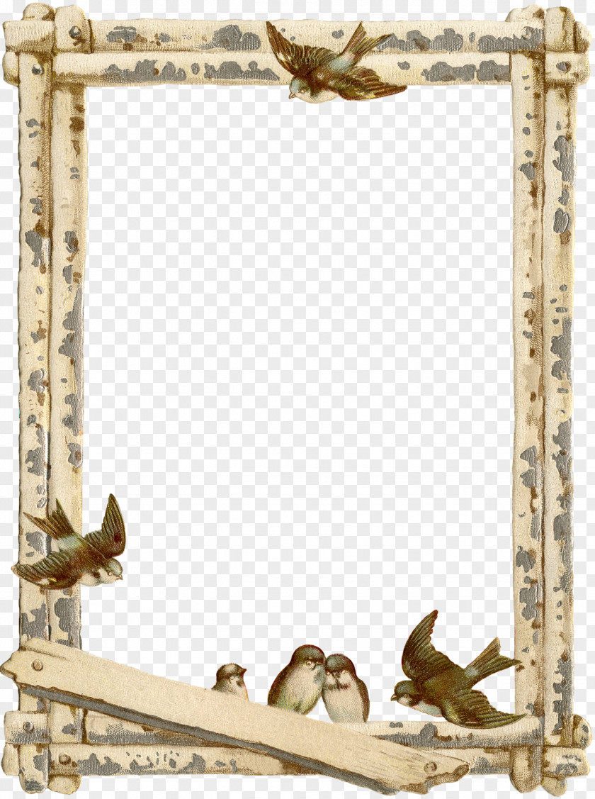 French Border Picture Frames PNG