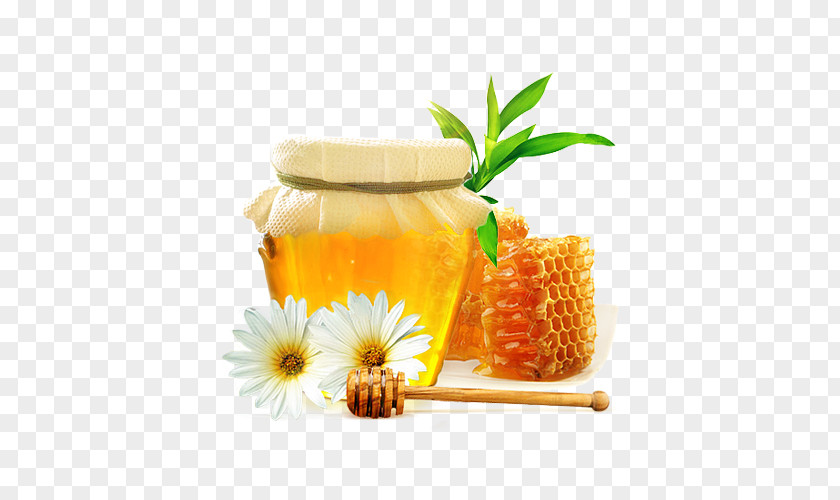 Bee Honey Pot Nectar PNG