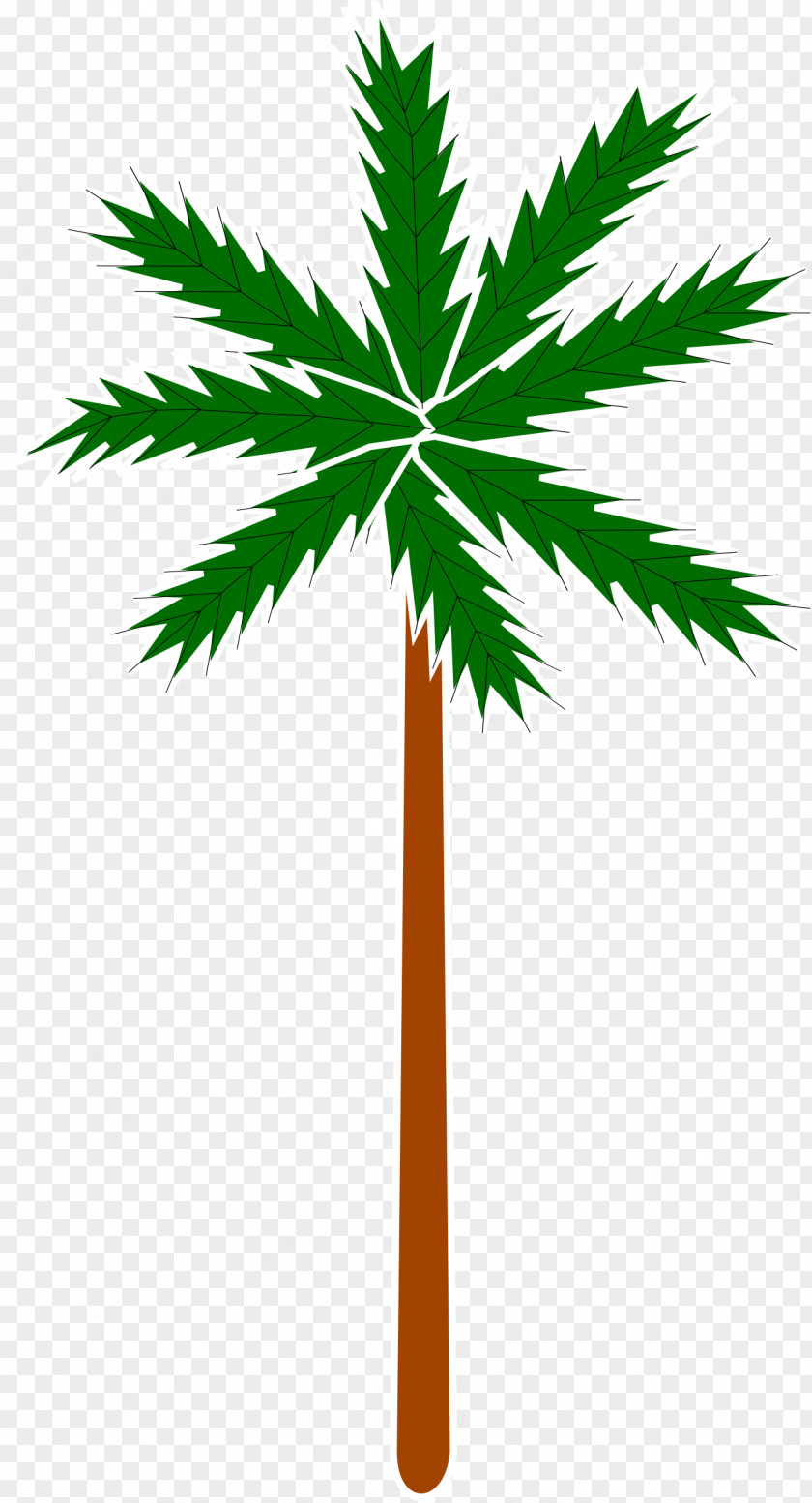 Best Arecaceae Clip Art PNG