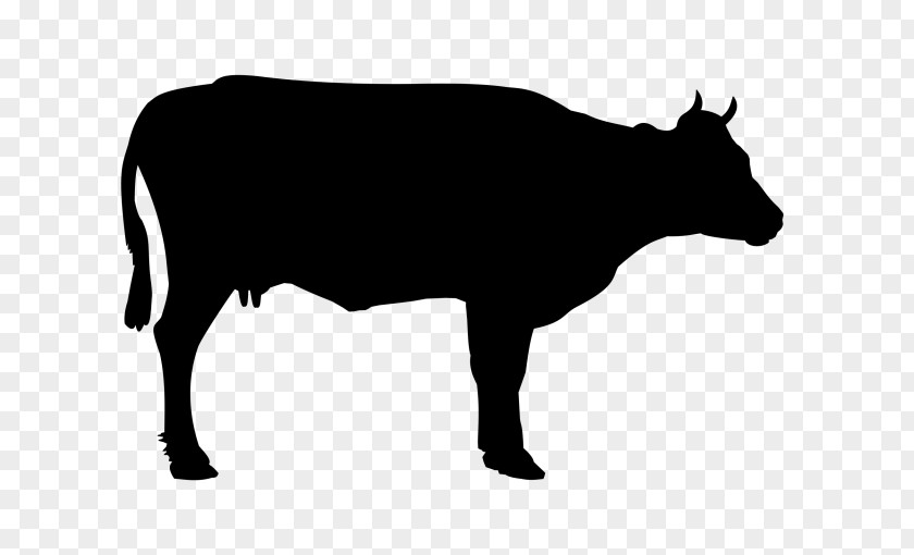 Bovine Cow-goat Family Bull Snout Livestock PNG