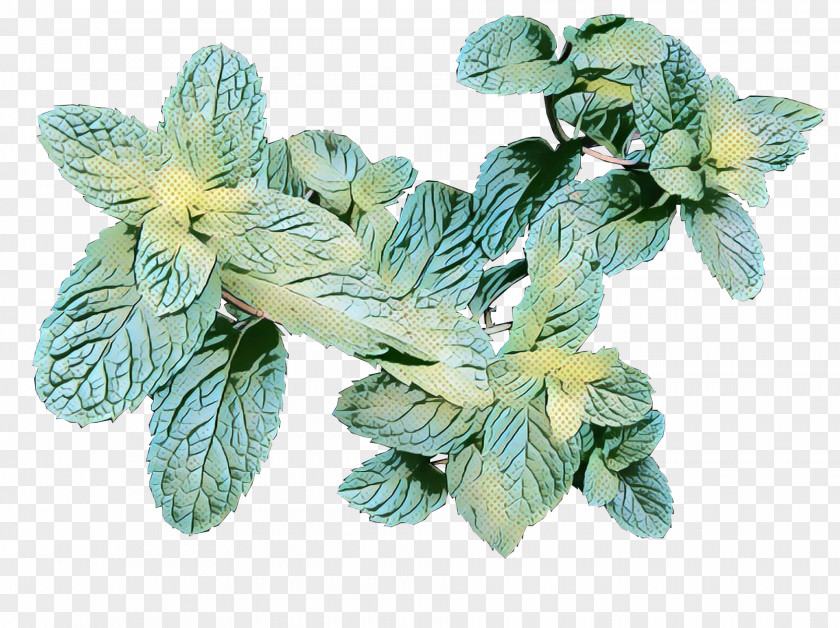 Flower Plant PNG