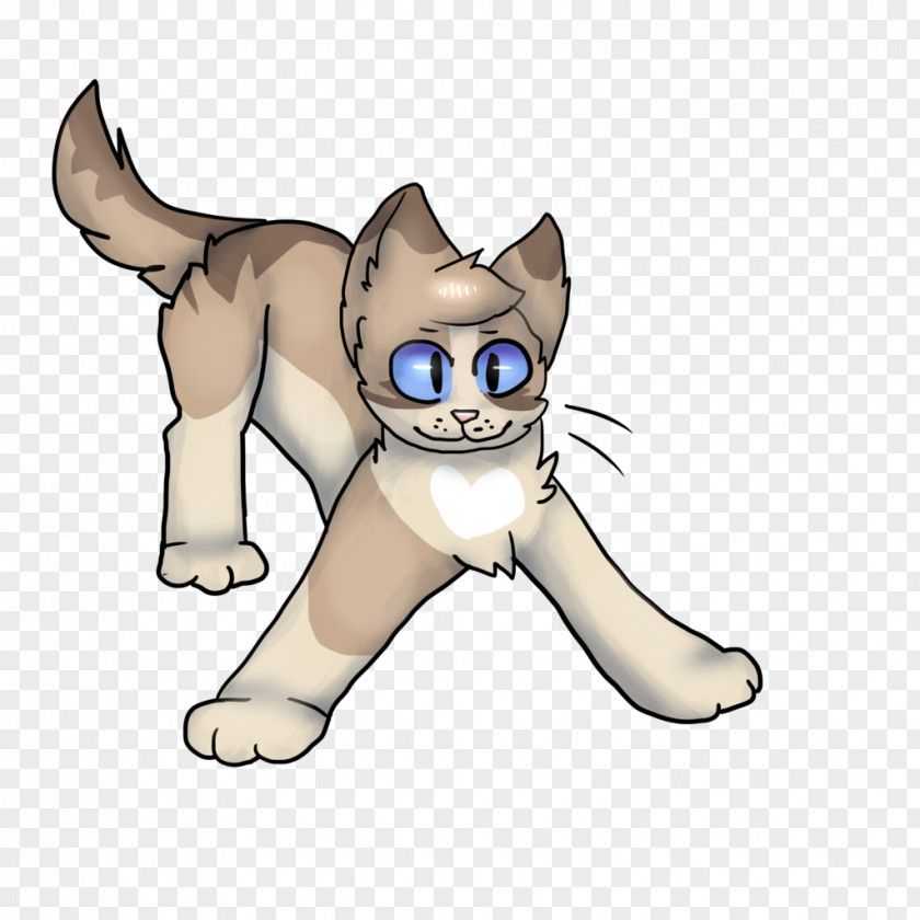 Kitten Whiskers Cat Canidae Dog PNG