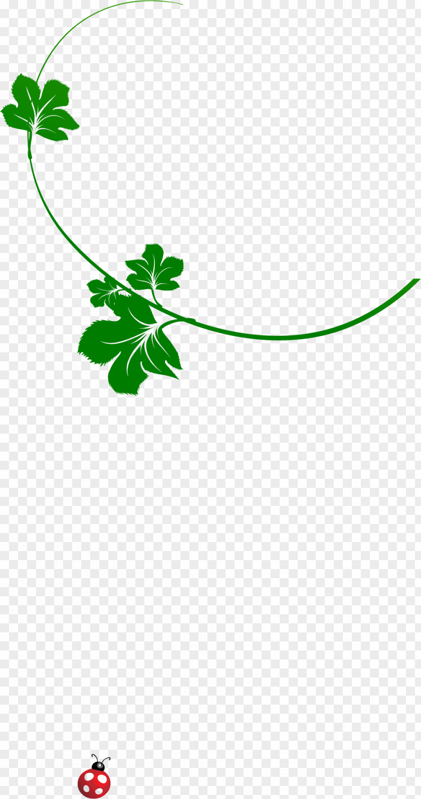 Leaf Green Download Clip Art PNG