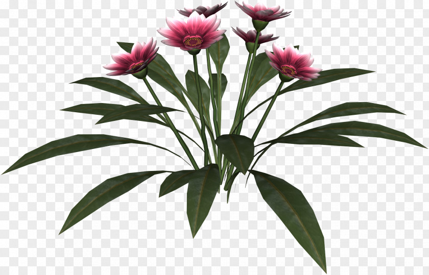 Waterflower Cut Flowers Flowering Plant Flowerpot PNG