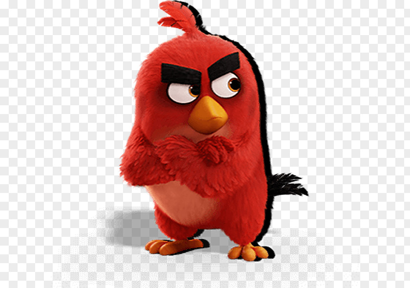 Youtube The Angry Birds Movie: Junior Novel Hollywood YouTube Too Many Pigs National Geographic Red's Big Adventure PNG
