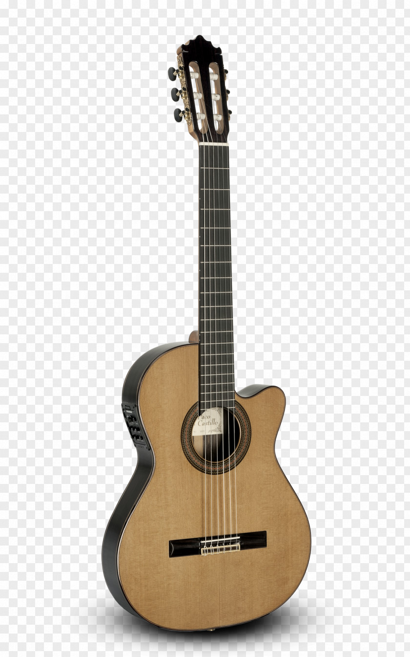 Acoustic Guitar Ukulele Twelve-string String Instruments PNG