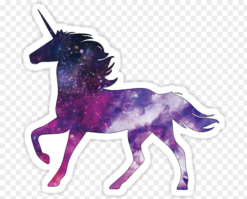 Horse Pony Unicorn JPEG PNG