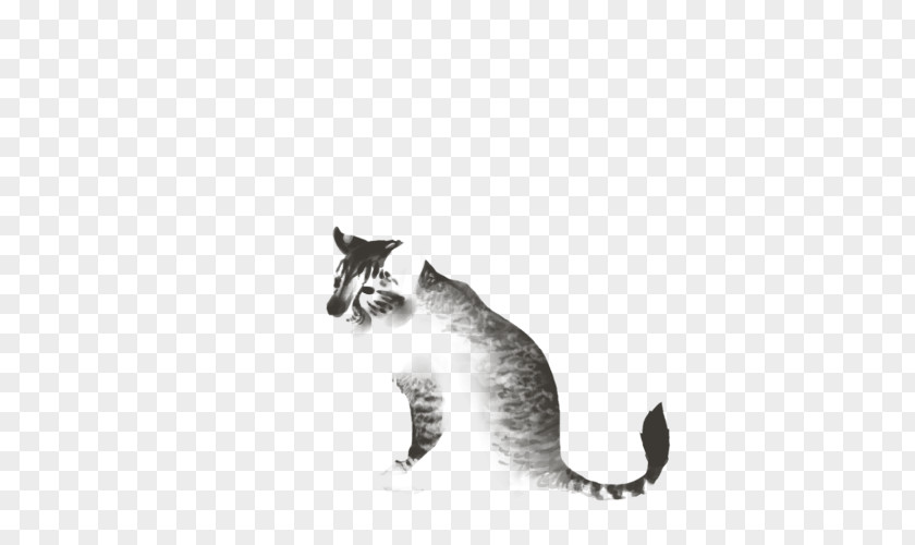 Kitten Whiskers Domestic Short-haired Cat Paw PNG