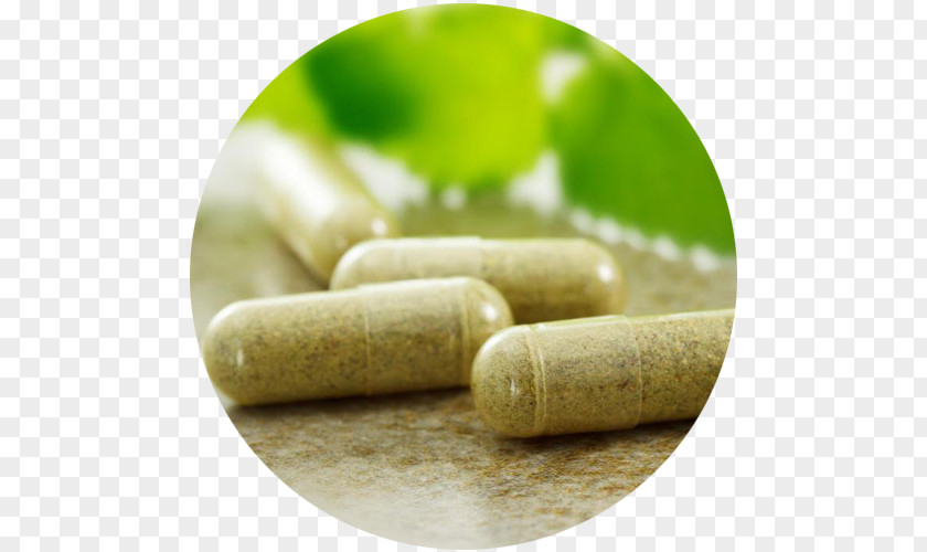 Tablet Dietary Supplement Garcinia Cambogia Herb Pharmaceutical Drug PNG