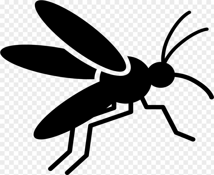 Coloring Book Wasp Leaf Fly PNG