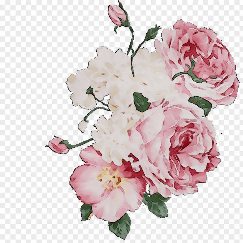 Garden Roses Decal Cabbage Rose Floral Design Floribunda PNG