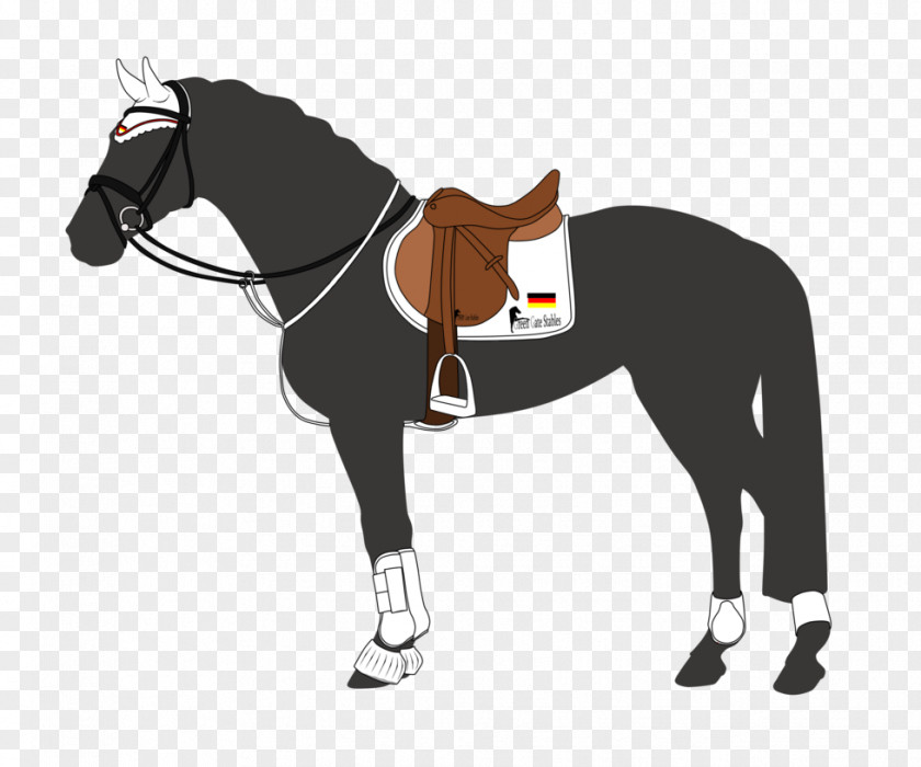 Horse Tack Stallion Show Jumping Equestrian PNG