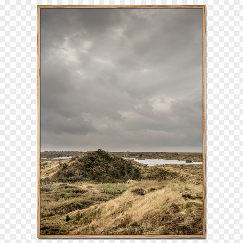 Poster Fanø Beach Shore Photography PNG