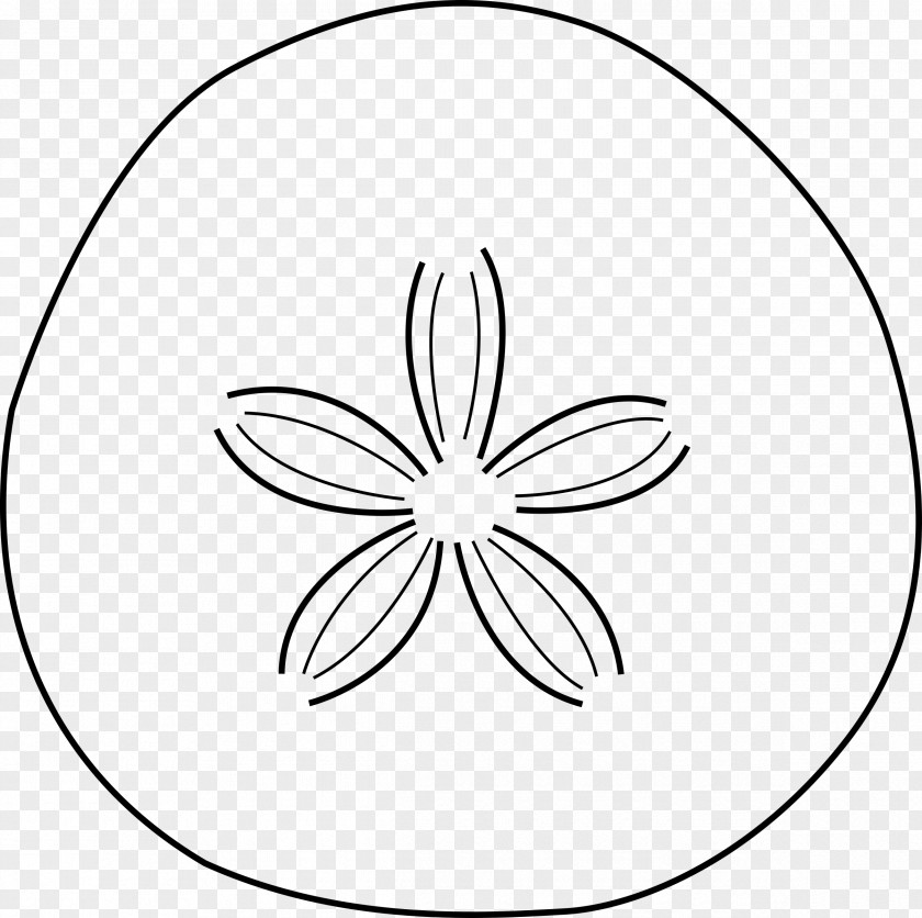 Sand Dollar Starfish Clip Art PNG