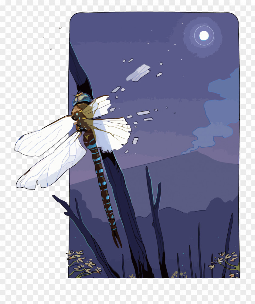 Vector Dragonfly DeviantArt Illustration PNG