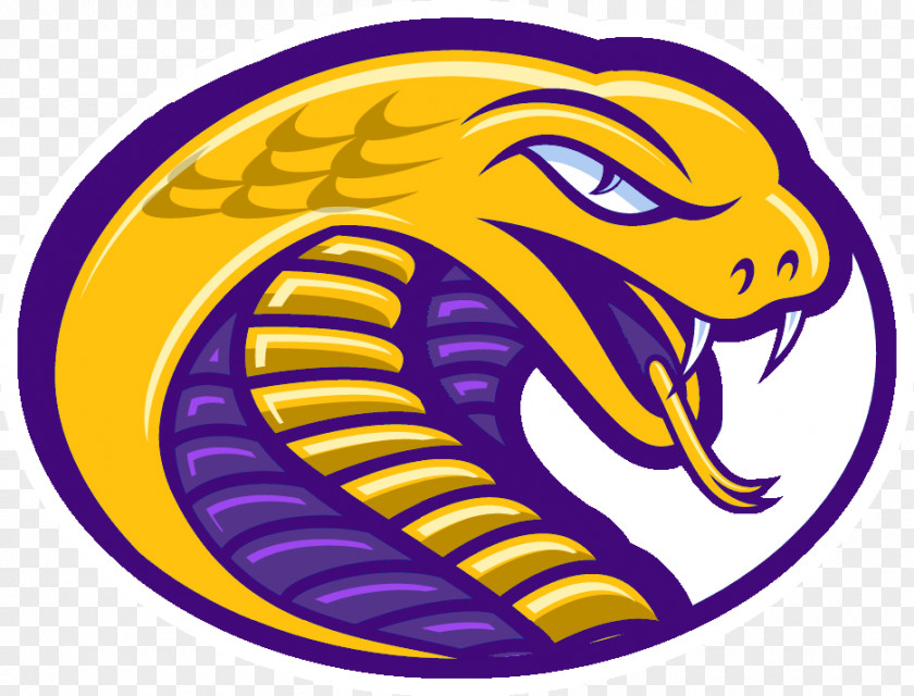 Basketball Coker College Cobras Women's Men's Catawba PNG