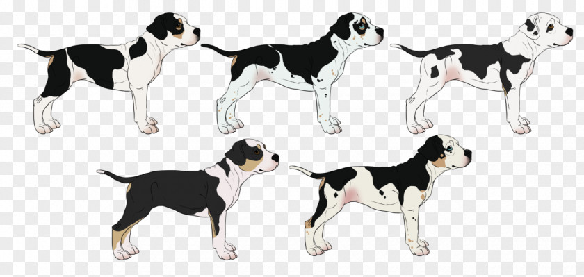 Bred Pit Dog Breed English Foxhound American Harrier Companion PNG