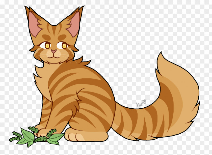 Coon Tabby Cat Warriors Kitten Leafpool PNG