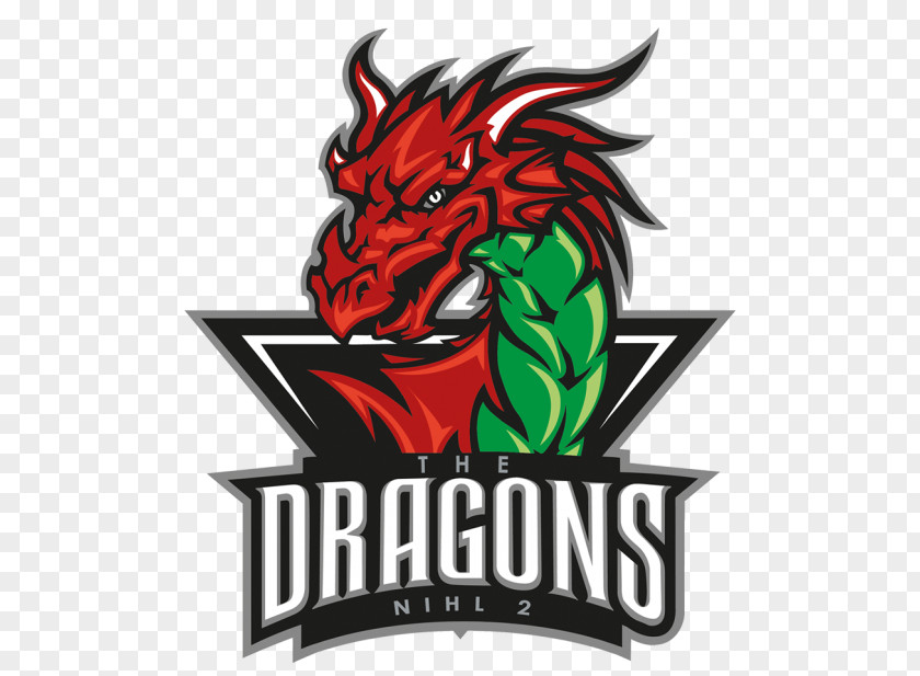 Dragon Deeside Dragons Vancouver Bellingham Bulls Logo PNG
