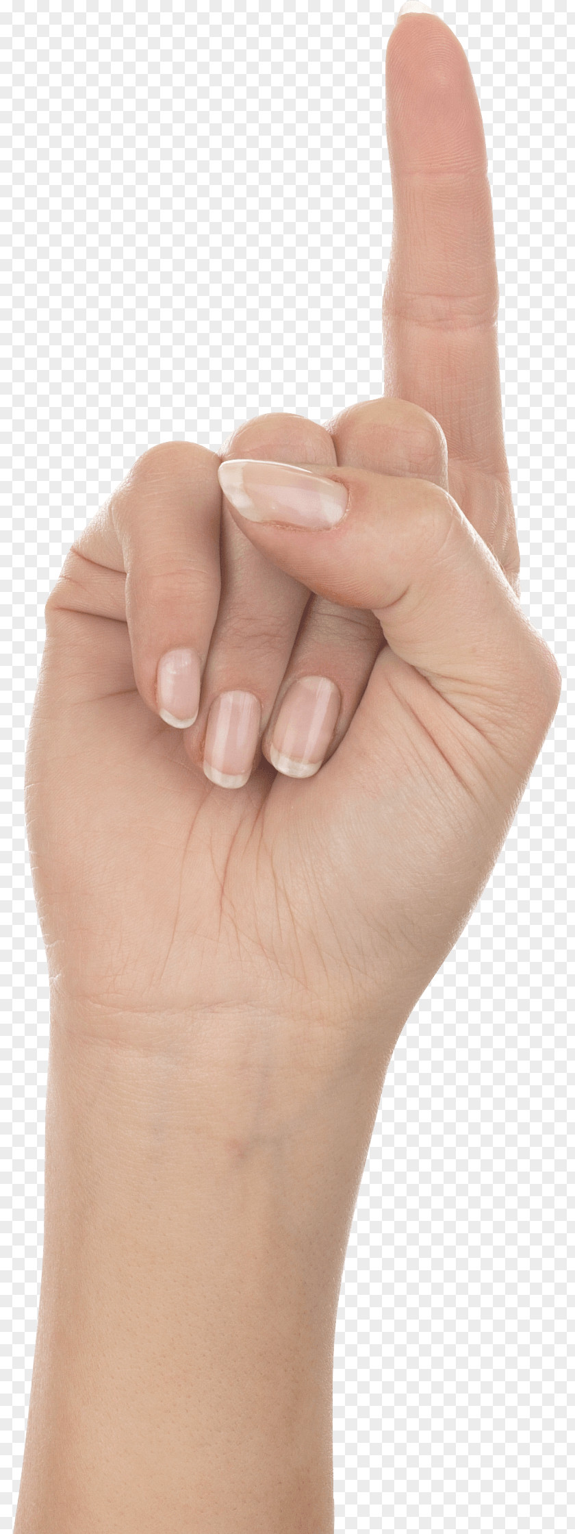 Hands Hand Image Arm Icon PNG