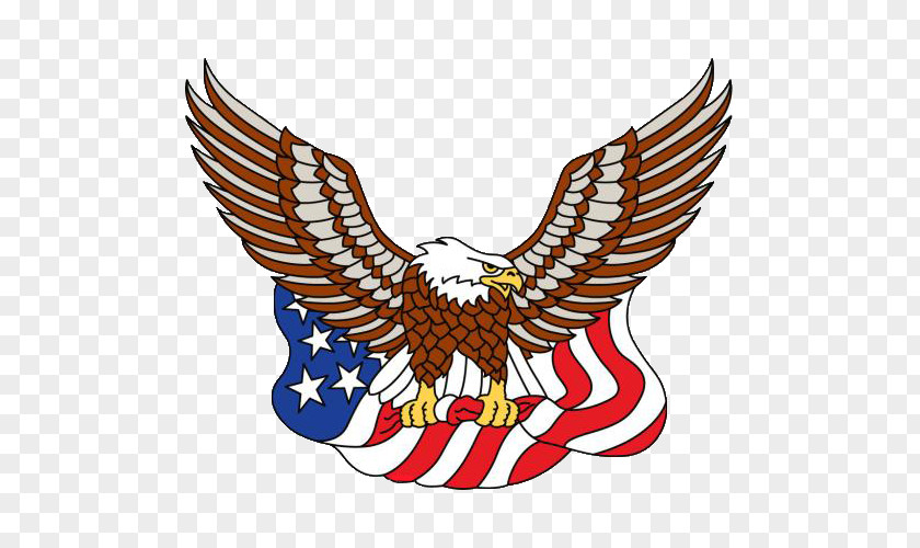 Whitehead And The American Flag Of United States Eagle PNG