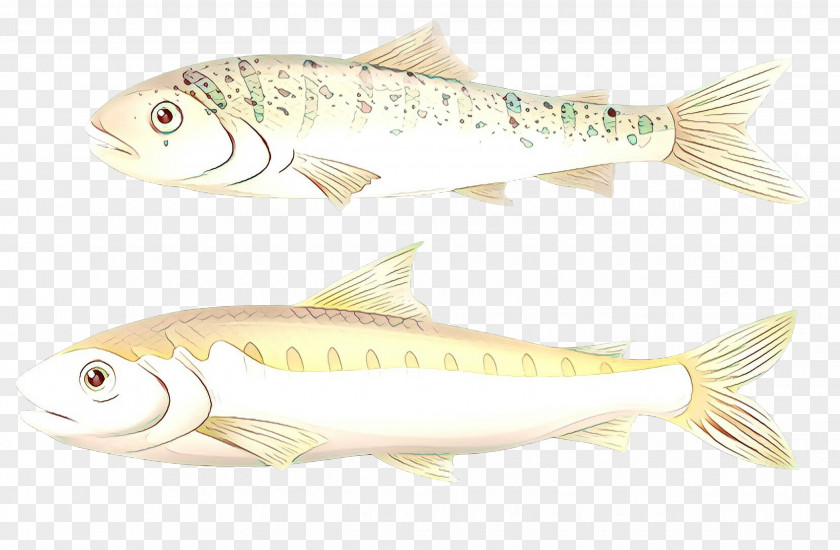 Cyprinidae Rayfinned Fish Cartoon PNG