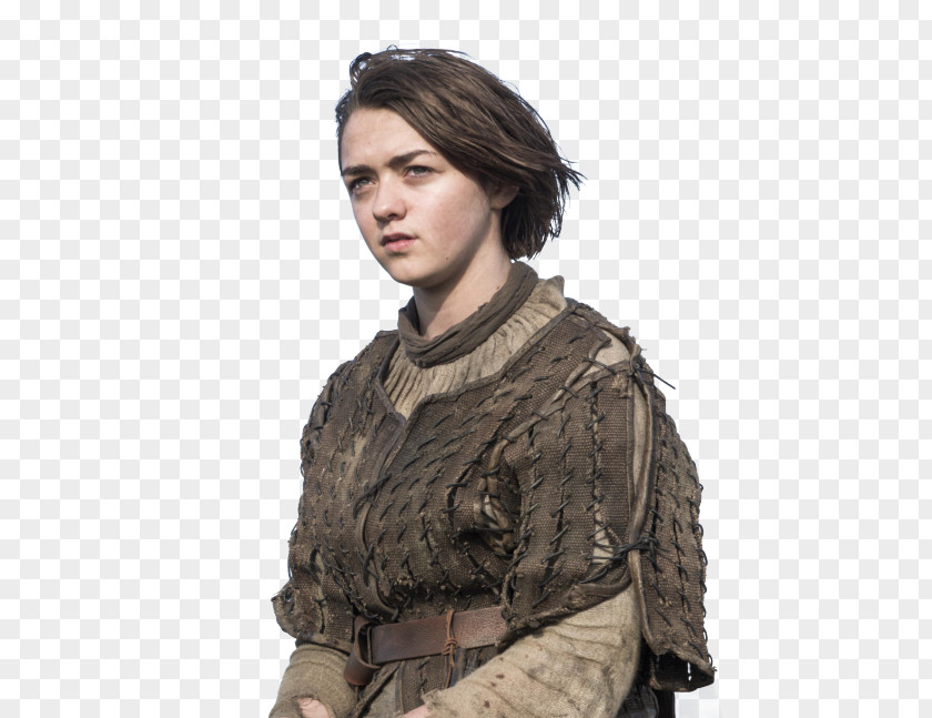 Game Of Thrones Arya Stark Maisie Williams Sandor Clegane Brienne Tarth PNG