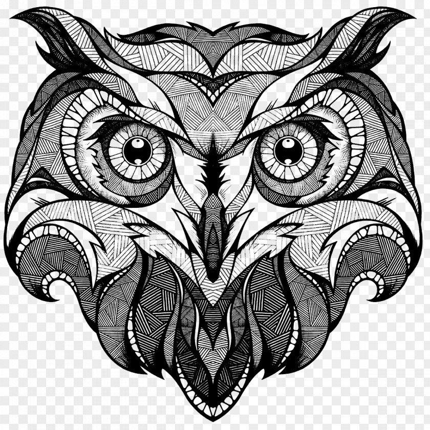 Owls Head Owl Drawing Coloring Book Totem Illustration PNG