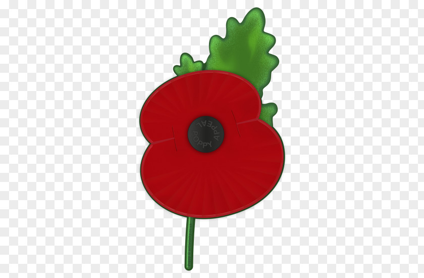 Poppy Remembrance Common PNG