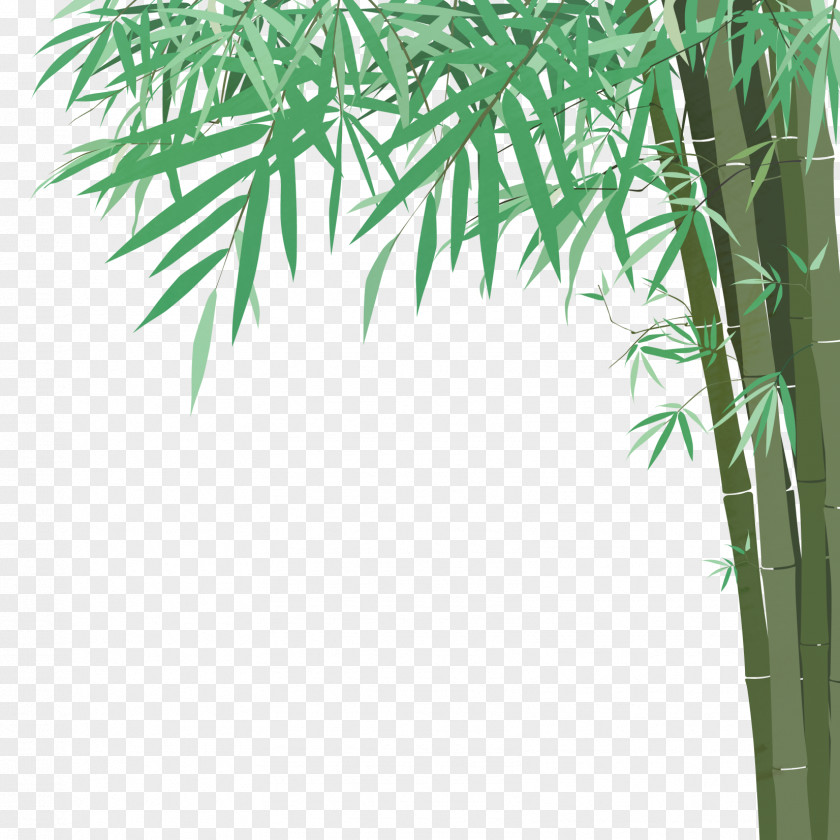 Vector Hand-painted Bamboo Euclidean Drawing Illustration PNG