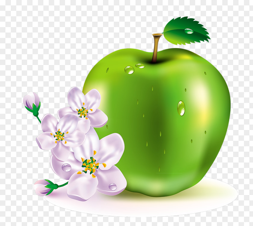 Apple Clip Art Fruit Image PNG