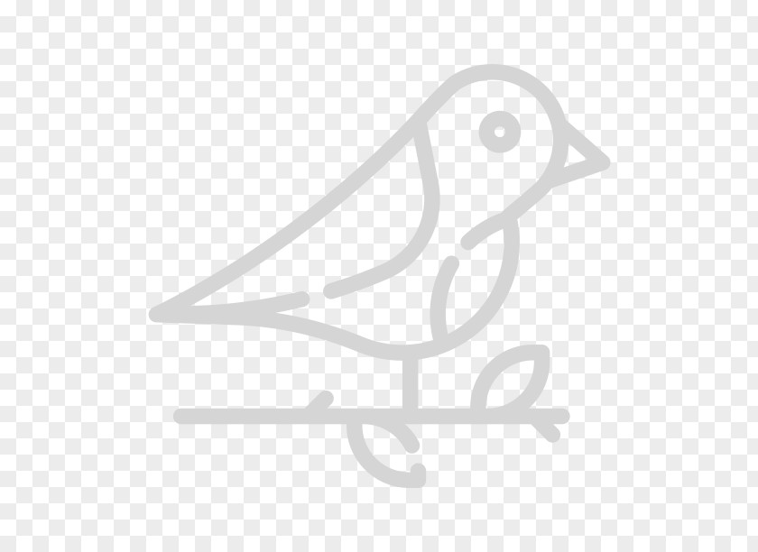 Bird Important Area Drawing PNG