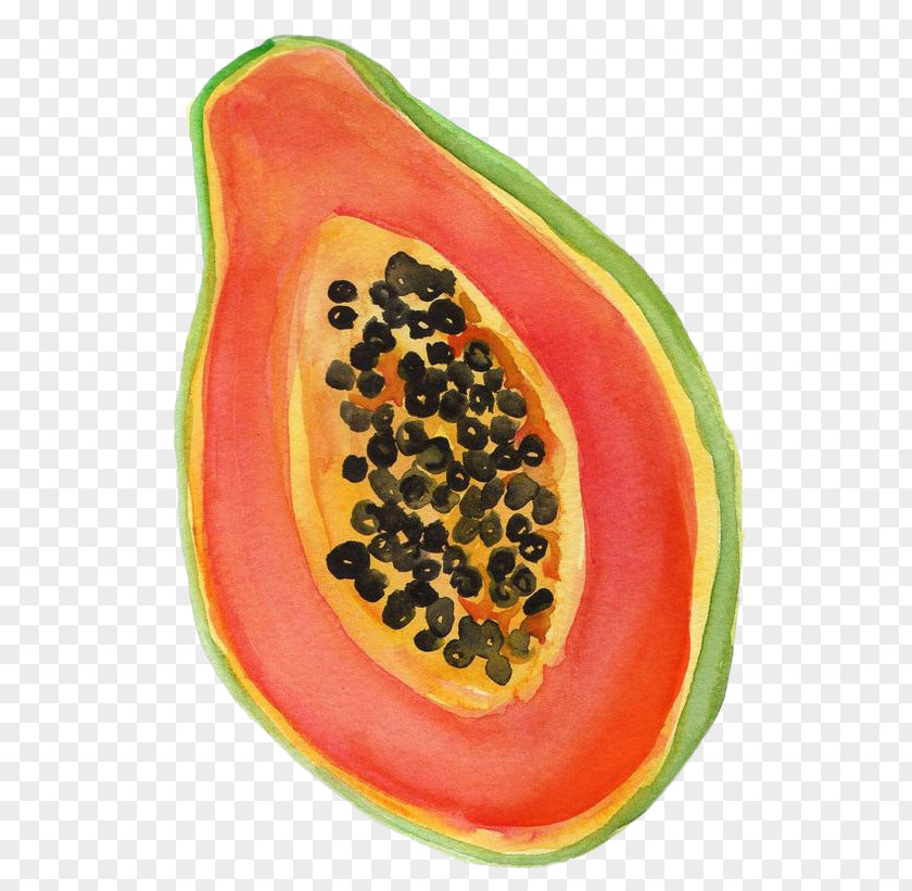 Hand-painted Half A Papaya Watermelon Drawing Watercolor Painting PNG