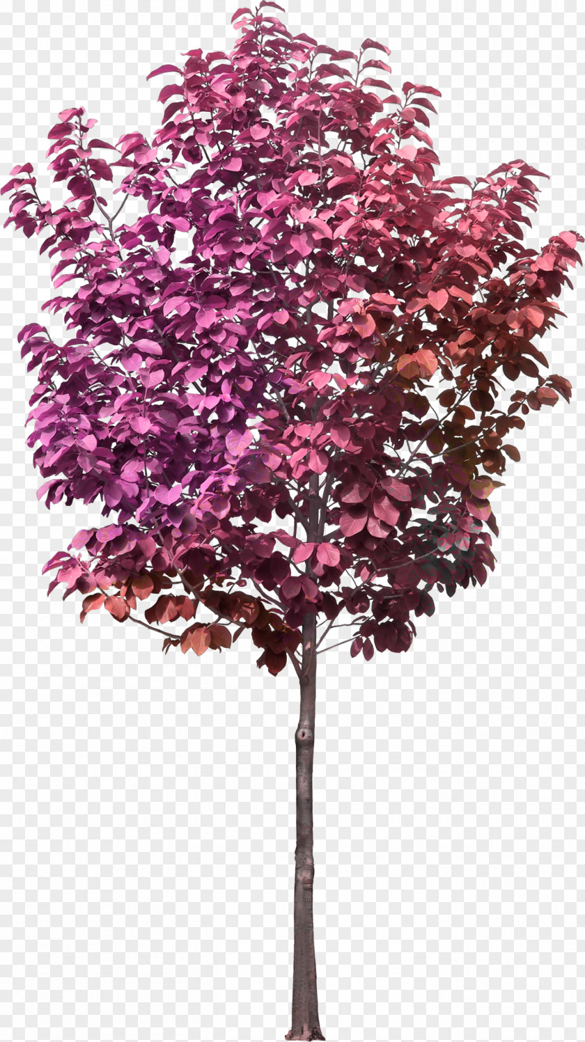 Pink Tree Castorama Cachepot Flowerpot Leroy Merlin Crock PNG
