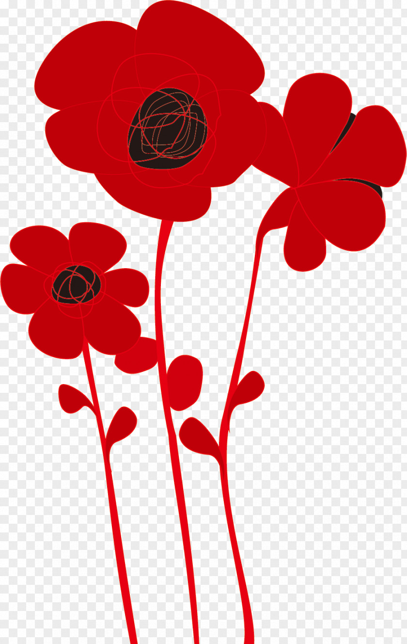 Poppy Common PNG