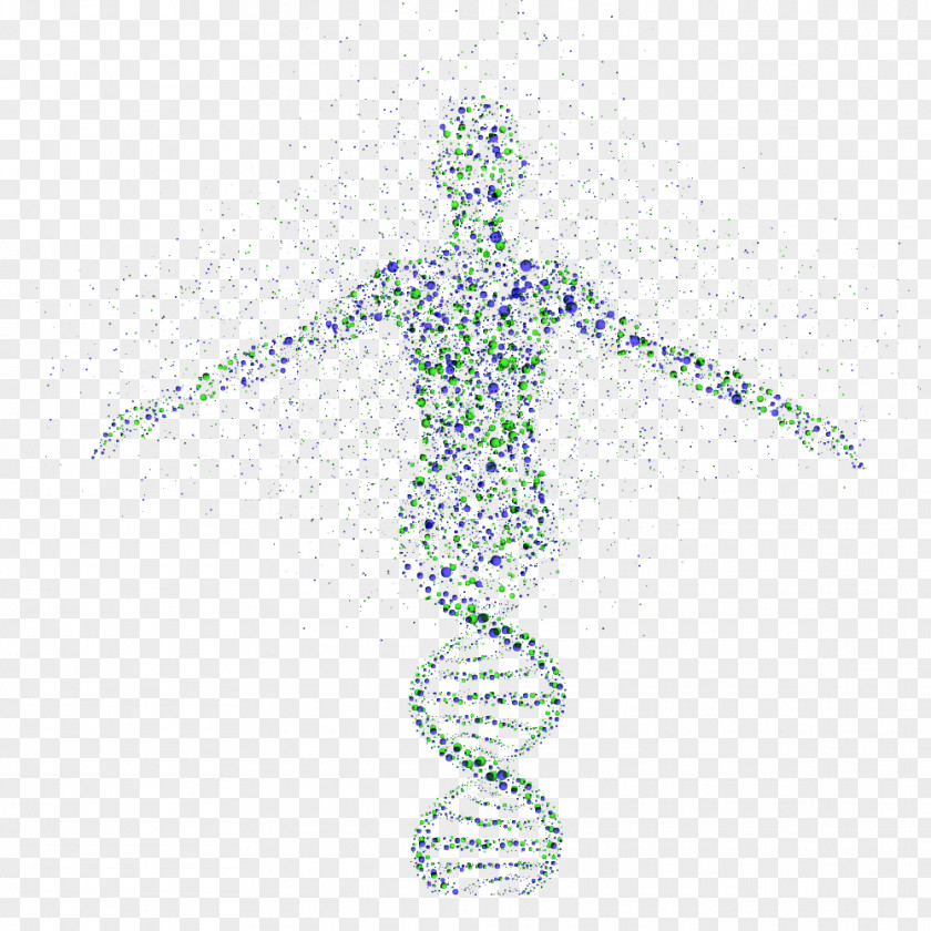 Science DNA Genetics Vertebral Column PNG