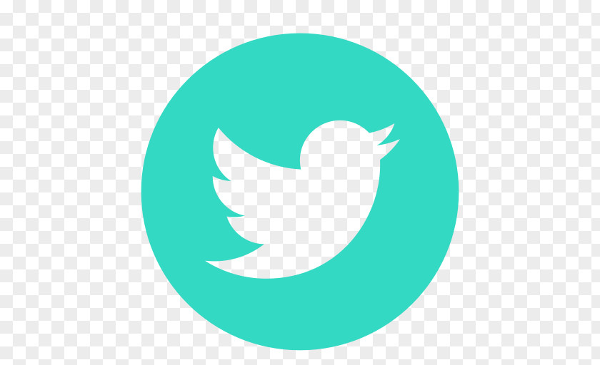 Teal Twitter YouTube Bird Republic Day PNG