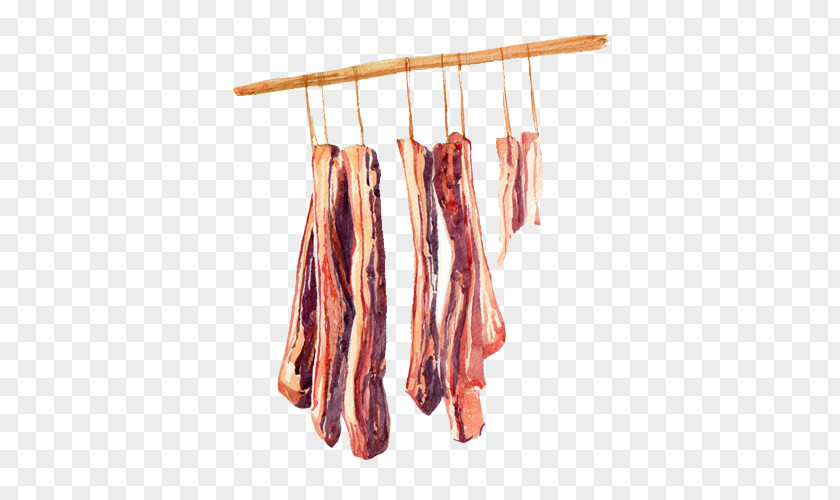Bacon Hand Painting Material Picture Curing Tocino Pork PNG
