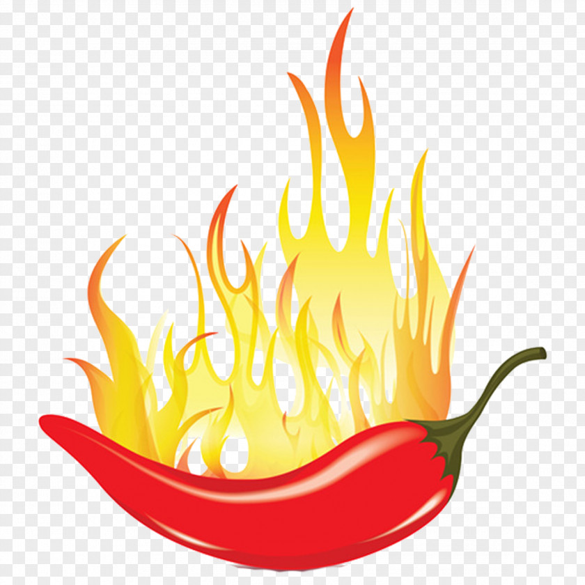 Fire Pepper Chili Mexican Cuisine Capsicum Spice PNG