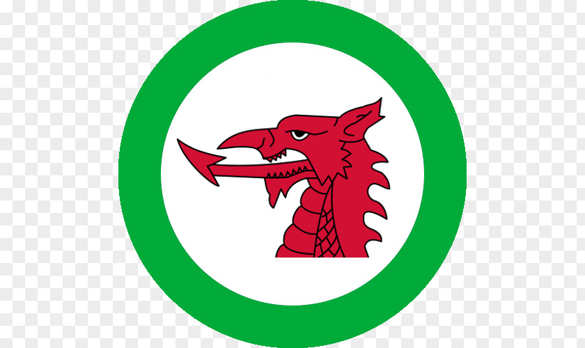 Franz Josef Buzul Flag Of Wales Stock Photography Welsh Dragon PNG