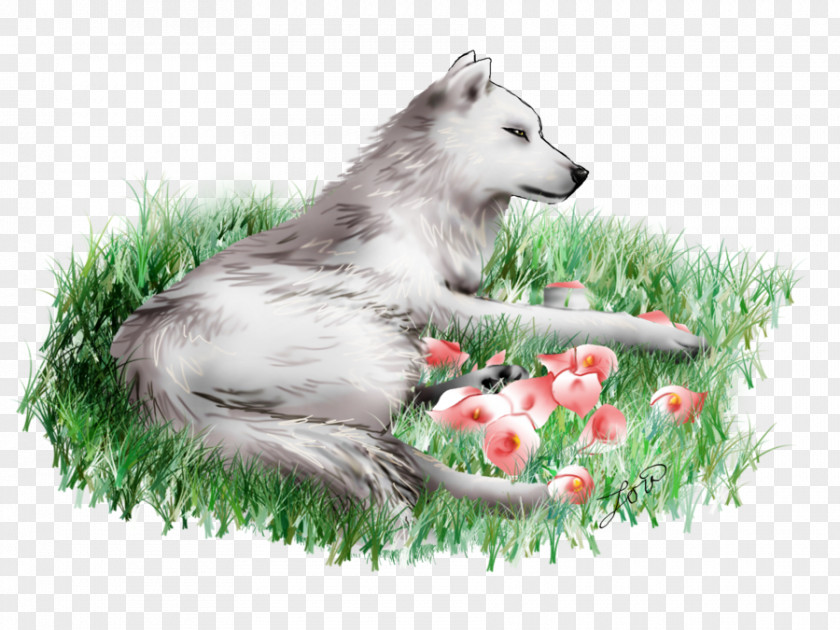 Painting Siberian Husky Sakhalin Canadian Eskimo Dog Alaskan Malamute PNG